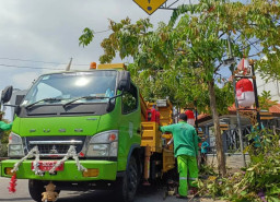 Cegah Bahaya Musim Penghujan, Pemkot Madiun Pangkas Dahan Pohon Rawan Tumbang