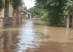 Diterjang Hujan Intensitas Tinggi, Ratusan Rumah di Sampang Kebanjiran