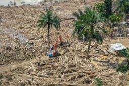 Aktivis Lingkungan Ajak Artis Beli Hutan