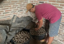 Baca juga : Omzet Perajin Telur Asin di Madiun Melonjak Drastis Berkat Program MBG