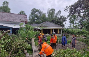 Diterjang Angin dan Hujan Deras, Puluhan Rumah Warga di Bondowoso Rusak