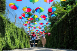 Baca juga : Taman Botani Sukorambi, Wisata yang Memadukan Rekreasi dan Edukasi