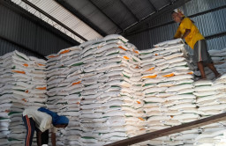 Perkuat Cadangan Pangan, Bulog Madura Ajukan Tambahan Stok 300 Ton