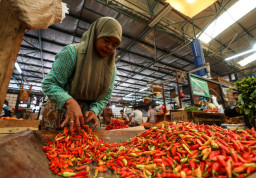 Harga Cabai di Pasar Probolinggo Melonjak Rp60 Ribu Jelang Bulan Ramadhan