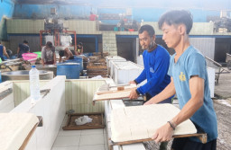 Baca juga : Harga Kedelai Naik di Jombang, Pengelola Bisnis Tahu: Biasa Aja, Tidak Berdampak