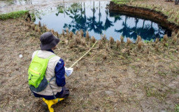 BRIN Lakukan Pemetaan Lapisan Karst, Pacitan Masuk Zona Rawan Sinkhole