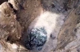 Viral Sumur Bor Milik Warga di Bangkalan Keluarkan Minyak, Pemkab Mulai Uji Lab