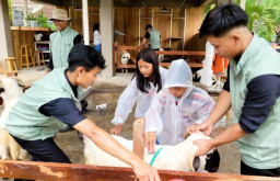 Wisata Edukasi Ijen Farmhouse Tawarkan Destinasi Unik Ruang Terbuka Hijau bagi Anak-anak