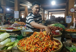 Jelang Ramadan, Harga Cabai Rawit di Ponorogo Melonjak Tembus Rp 78 Ribu per Kg