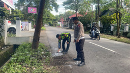 Kecelakaan Tunggal, 3 Bocah SMP Tewas Tabrak Pohon
