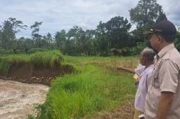 Cuaca Ekstrem, 27 Titik Infrastruktur Vital di 7 Kecamatan Jember Alami Kerusakan