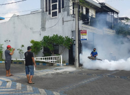 Per Tahun 2026, Dinkes Sidoarjo Catat Kasus DBD saat Musim Hujan Rendah Dibanding Tahun Lalu