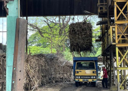 Musim Giling 2026, PG Ngadirejo Kediri Targetkan Giling Tebu 10,6 Juta Kuintal