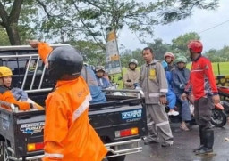 Pohon Tumbang Sebabkan Warga Tewas dan Dua Lainnya Luka, BPBD Magetan Gercep Lakukan Evakuasi