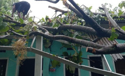 Fenomena hidrometeorologi: Rumah dan Warung Warga di Malang Tertimpa Pohon Gegara Hujan Angin