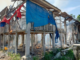 Kandang Ayam di Blitar Ludes Terbakar, Korban Alami Kerugian Ratusan Juta