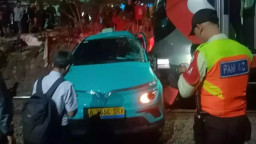 Taksi Listrik Green SM asal Vietnam, Diduga Pemicu Insiden