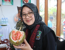 Per Tahun, Produksi Durian Songgon Banyuwangi Tembus hingga 3.716 Ton