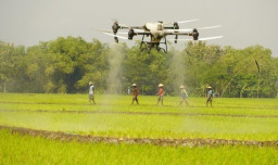 Uji Coba Drone Semprot Pupuk Disambut Antusias Sejumlah Petani di Bojonegoro 