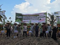 Petani Bondowoso Minta Perlindungan dari Peraturan yang Mengancam Tembakau