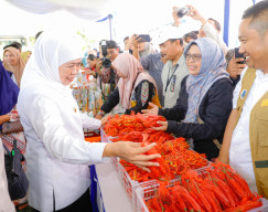 Gelar Pasar Murah di Bojonegoro, Gubernur Khofifah Pastikan Kebutuhan Pokok Terjangkau