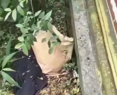 Bayi Laki-laki Dibuang di Ring Road Kota Madiun, Ditemukan Dalam Tas Kertas Coklat 