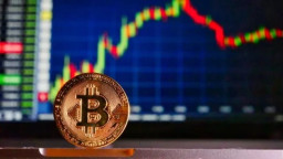 Cara Trading Crypto bagi Pemula agar Tidak Asal Entry