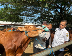 Jelang Idul Adha, DKPP Kota Madiun Perketat Aktivitas Jual Beli Hewan Kurban