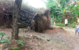 Hujan Angin Kencang Rusak Rumah Warga hingga Pohon Tumbang di Pamekasan