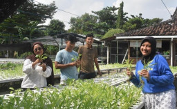 Serunya! Kebun Sayur Surabaya Jadi Ruang Belajar Hidroponik di Tengah Kota Surabaya