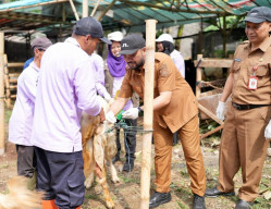 Pastikan Hewan Kurban Sehat dan Layak, Pemkot Batu Minta Warga Agar Tak Khawatir