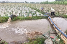 Masuki Masa Tanam: Harga Solar Subsidi Langka, Petani di Jember Terpaksa Beli Eceran Mahal