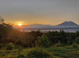 Menikmati Wisata Bukit Dami, Suguhkan Panorama Langit Jingga Keemasan di Probolinggo