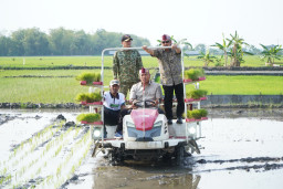 Dongkrak Produktivitas dan Hilirisasi Pertanian di Lamongan