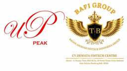 Universal Peak dan BAFI Group Indonesia, Dihentikan OJK