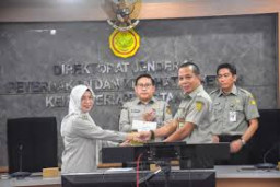 Harga Ayam Broiler Turun, Kementan Binggung