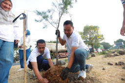 Komitmen Jaga Iklim dan Lingkungan, PLN UID Jatim dan DLH Surabaya Tanam 60 Pohon