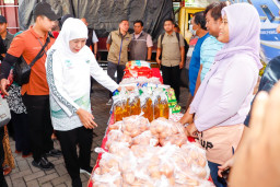 Intervensi Harga Pangan, Khofifah Pastikan Stok Aman dan Distribusi Lancar Lewat Pasar Murah