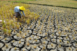 Antisipasi Kekeringan, BPBD Tulungagung Siapkan Puluhan Tandon Air Bersih