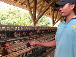 Ancaman Penyakit AI, Diperta Probolinggo Perkuat Deteksi Dini Kesehatan Unggas