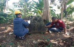 Disparbud Malang Temukan Watu Dakon Era Megalitikum di Singosari