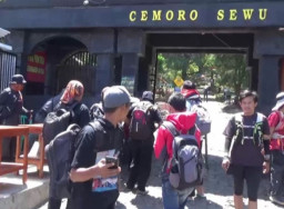 Alami Peningkatan Wisatawan, Ratusan Pendaki Datangi Gunung Lawu Jelang 1 Suro