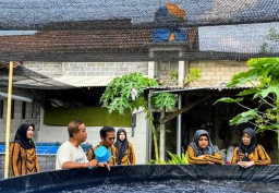 Dinas Perikanan Tulungagung Optimalkan Budidaya Ikan Nila dengan Sistem Bioflok