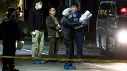 Pria Indonesia, Tusuk WNI dan Lukai Polisi Jepang
