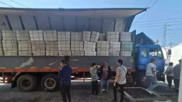 BNN Gerebek Gudang di Kawasan Pergudangan Cerme, Diduga Simpan Ganja Jaringan Internasional