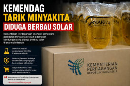 Pemerintah Investigasi Minyakita Bisa Berbau Solar