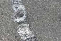 Panas di New York, Dikisaran 40 hingga 46 C