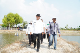 Kampung Kerapu Lamongan Terapkan Modernisasi Perikanan