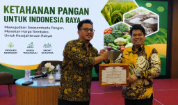 Aktivis Pemuda Apresiasi Upaya Sinergi Komdigi Berantas Judol