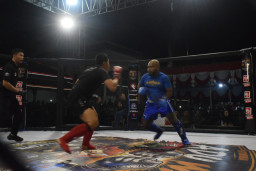 Juara Umum Adu Wani Wali Kota Cup 2026, IBCA BFC MMA Kota Madiun Bidik Dominasi Jatim dan Kejurnas